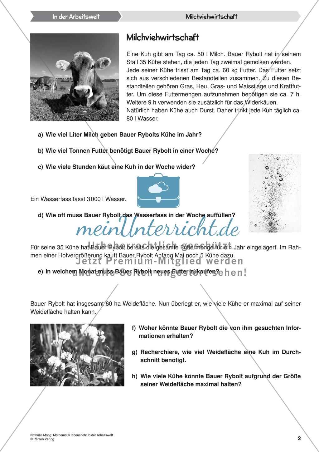 Mathematik lebensnah: In der Arbeitswelt Preview 4