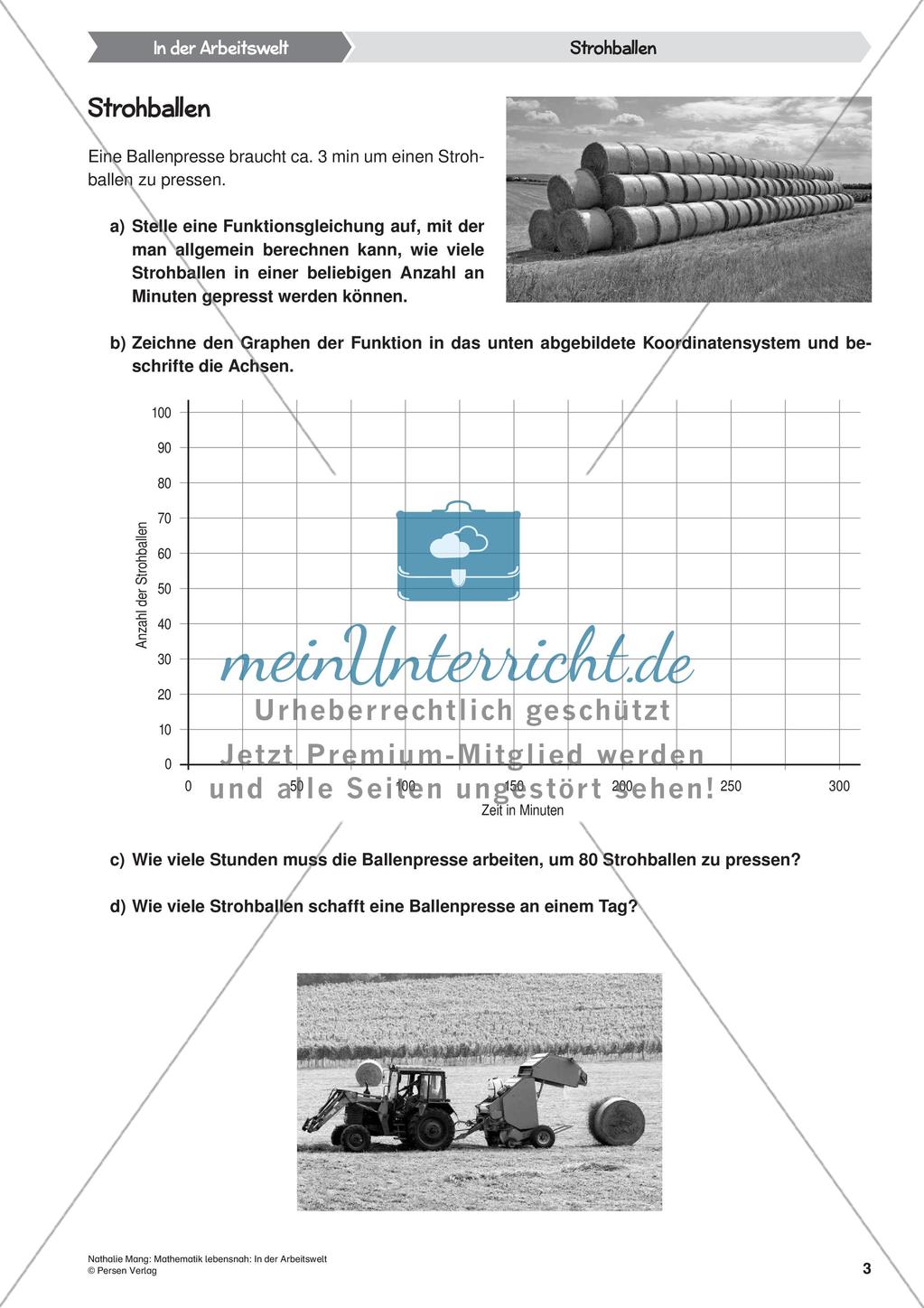 Mathematik lebensnah: In der Arbeitswelt Preview 5