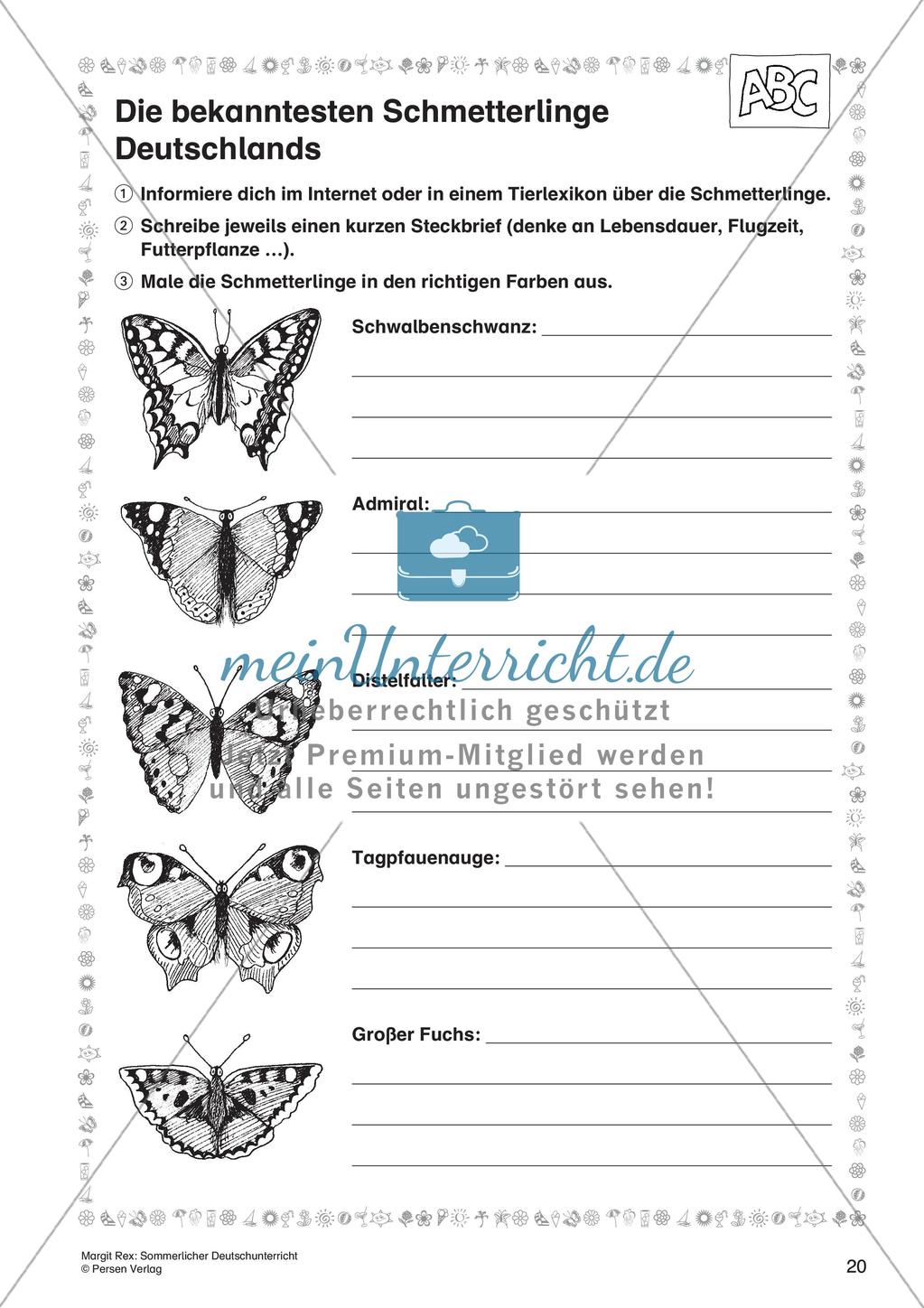 Lernwerkstatt Sommerzeit Preview 22