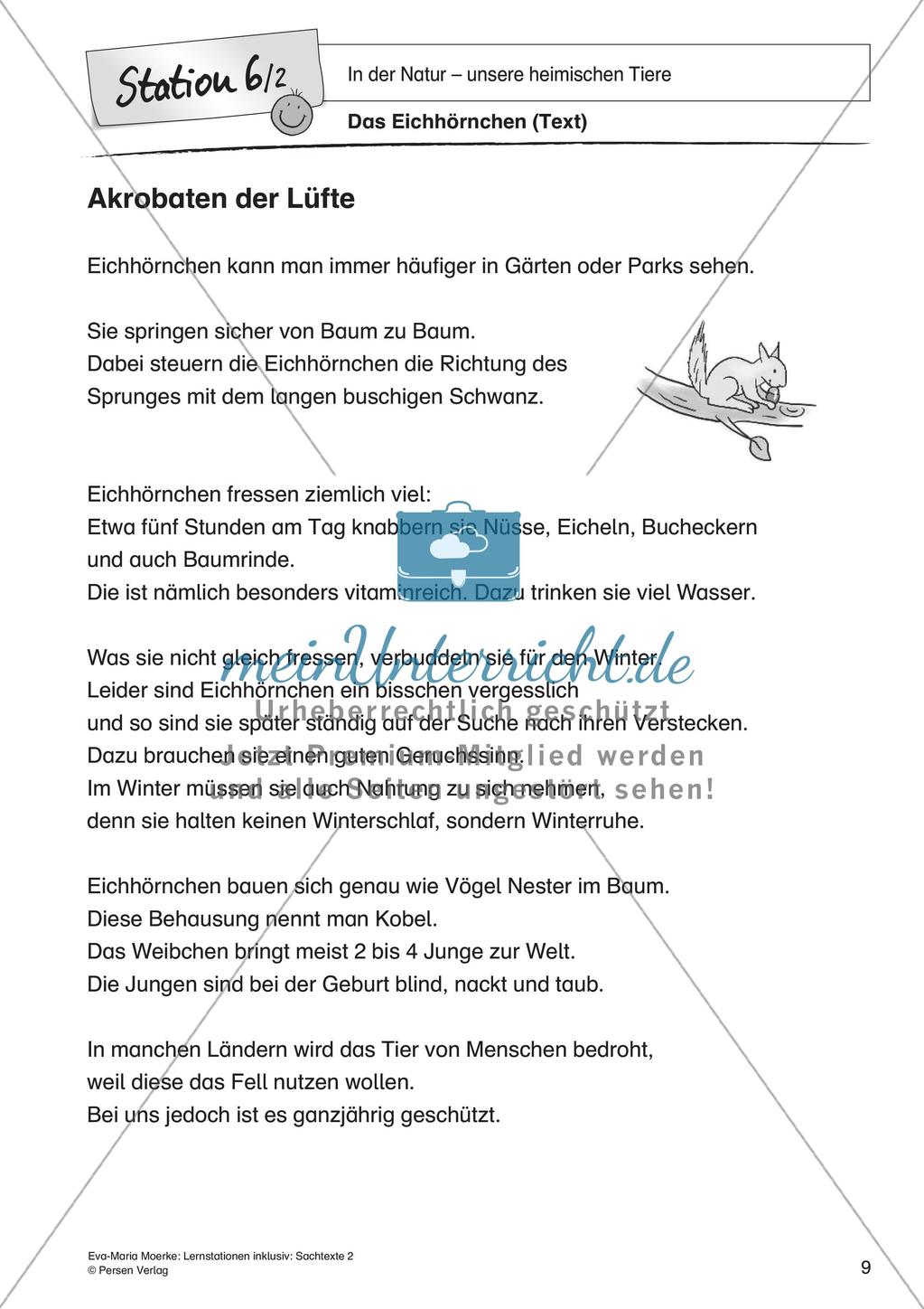 Sachtexte: In der Natur - unsere heimischen Tiere Preview 11
