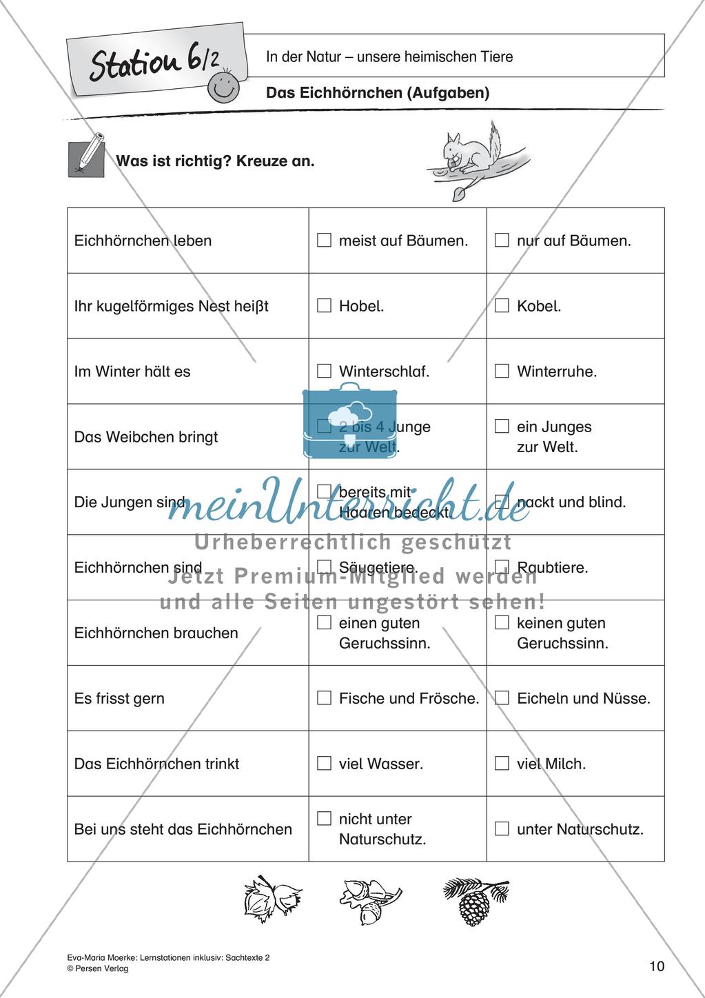 Sachtexte: In der Natur - unsere heimischen Tiere Preview 12