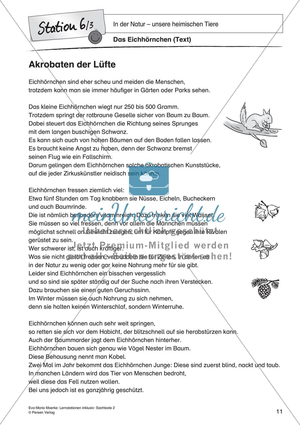 Sachtexte: In der Natur - unsere heimischen Tiere Preview 13