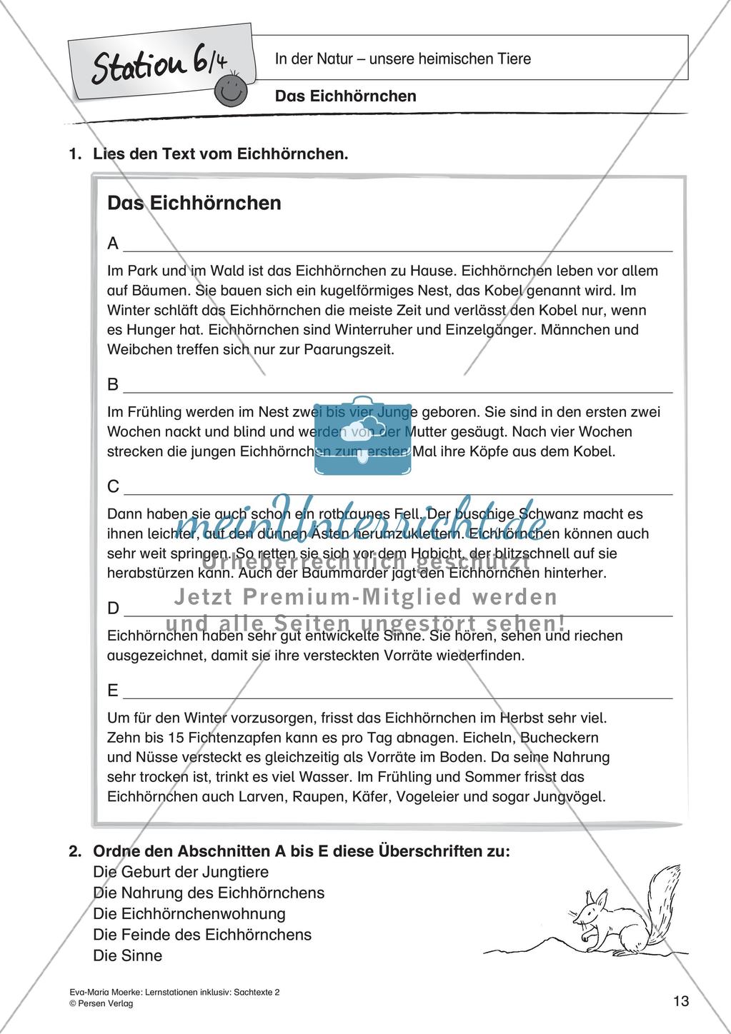 Sachtexte: In der Natur - unsere heimischen Tiere Preview 15