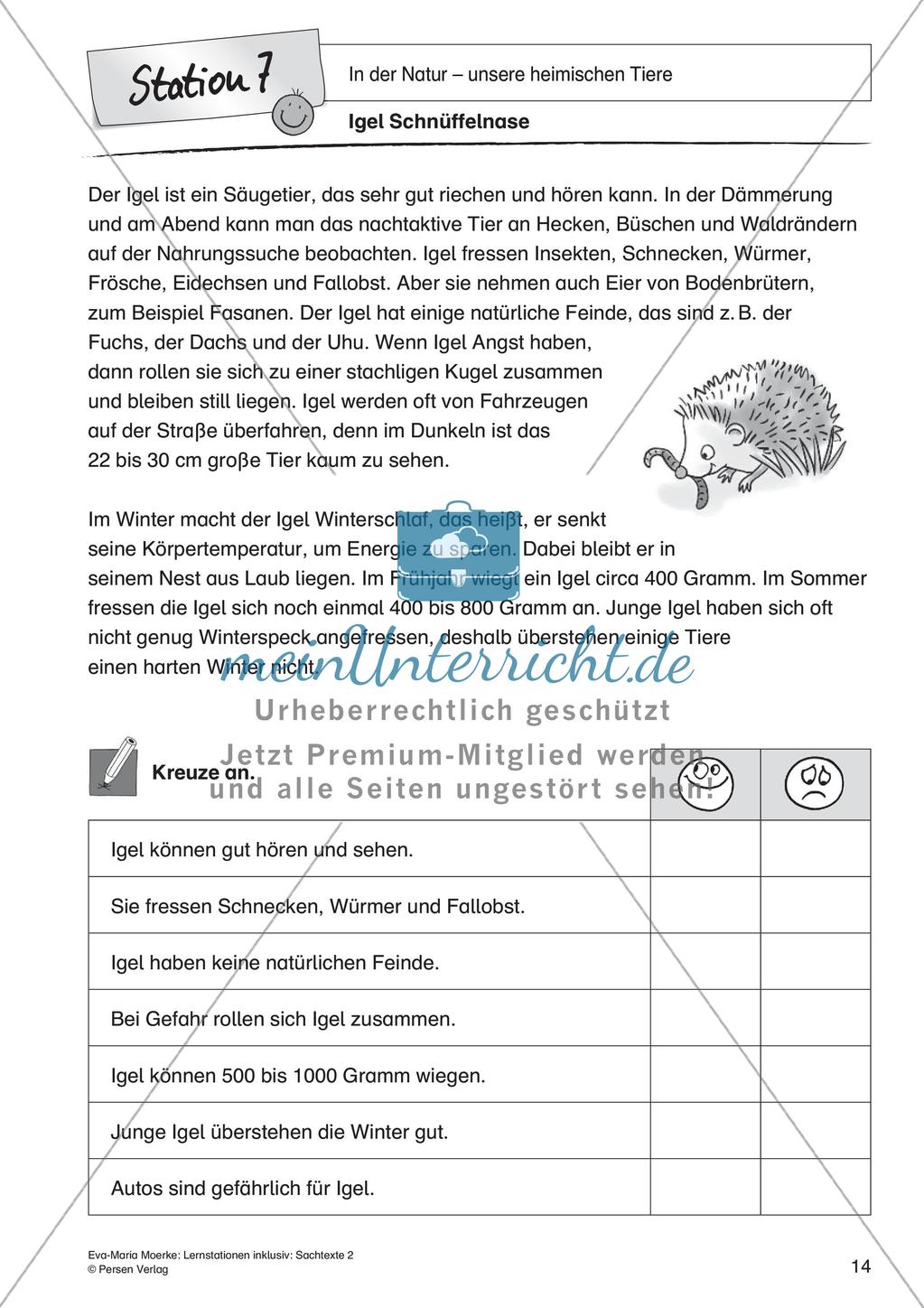 Sachtexte: In der Natur - unsere heimischen Tiere Preview 16
