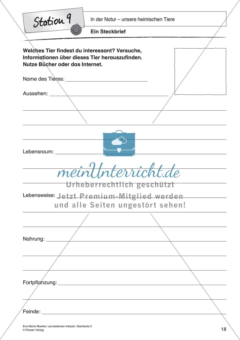 Sachtexte: In der Natur - unsere heimischen Tiere Preview 20