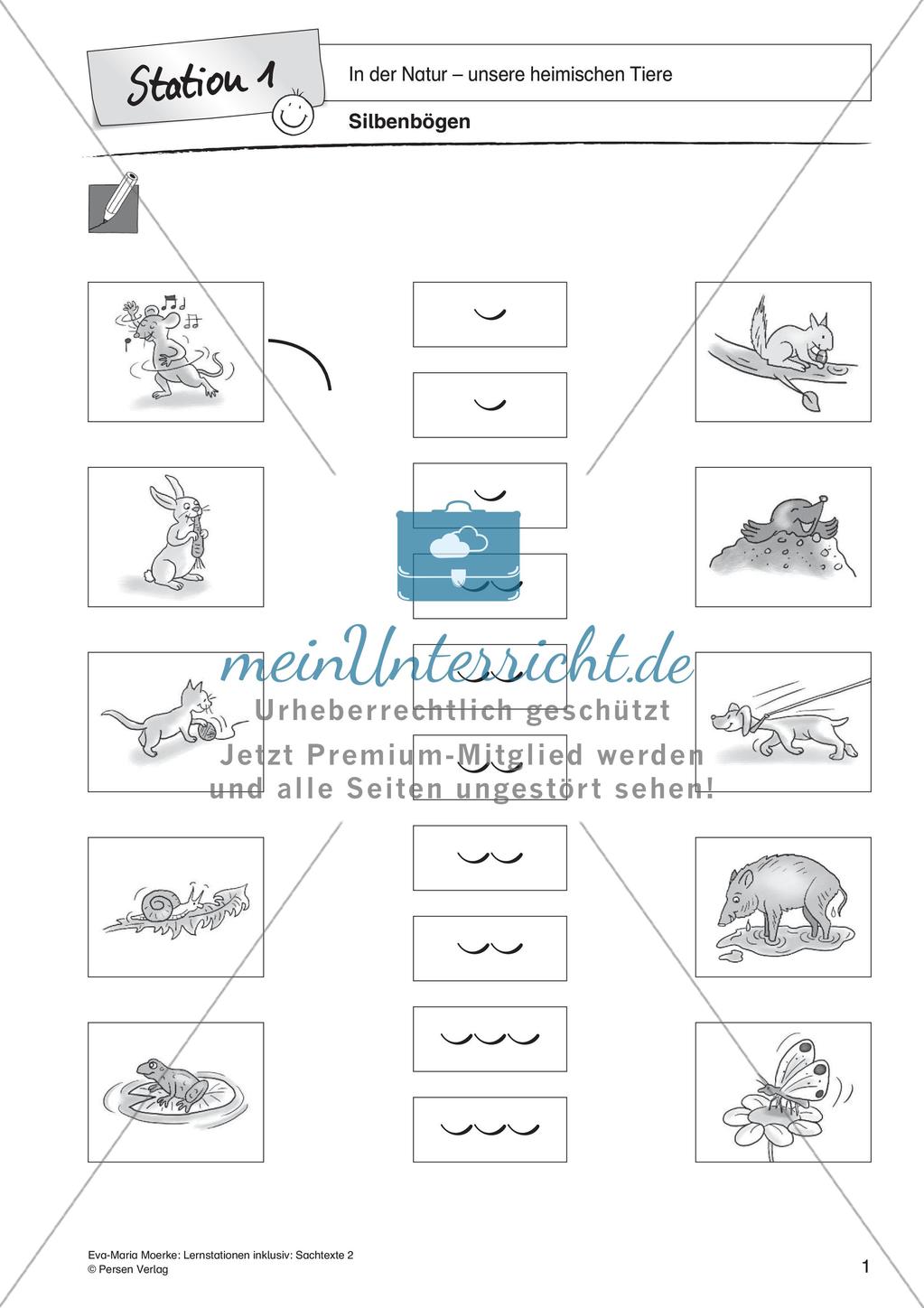 Sachtexte: In der Natur - unsere heimischen Tiere Preview 3