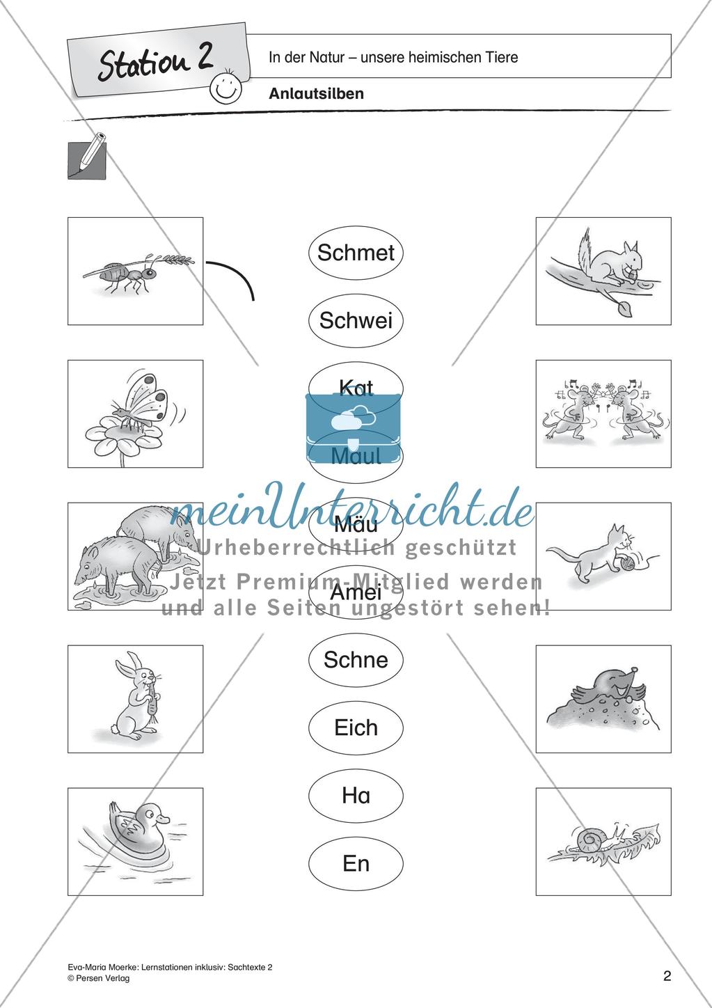 Sachtexte: In der Natur - unsere heimischen Tiere Preview 4