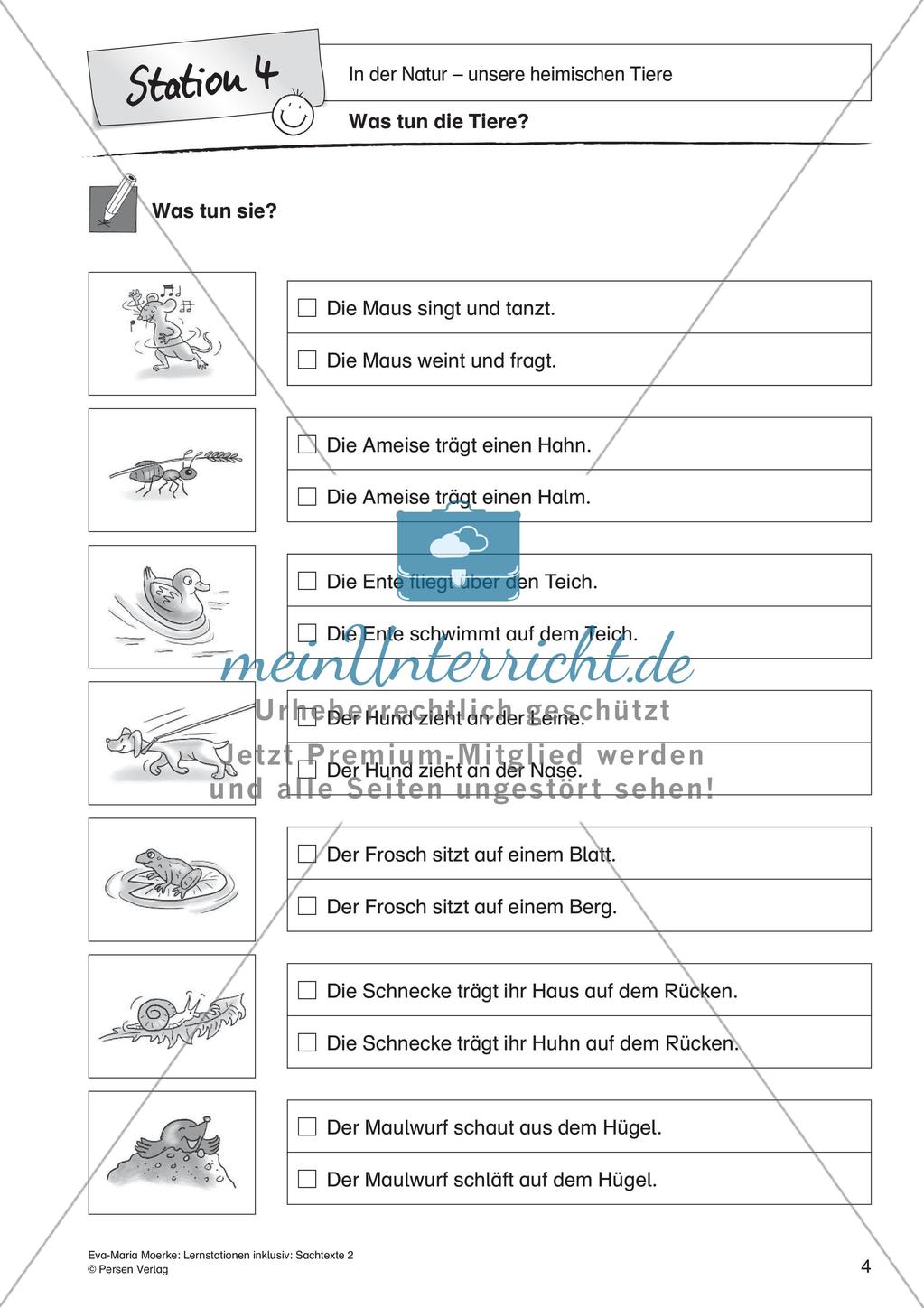Sachtexte: In der Natur - unsere heimischen Tiere Preview 6