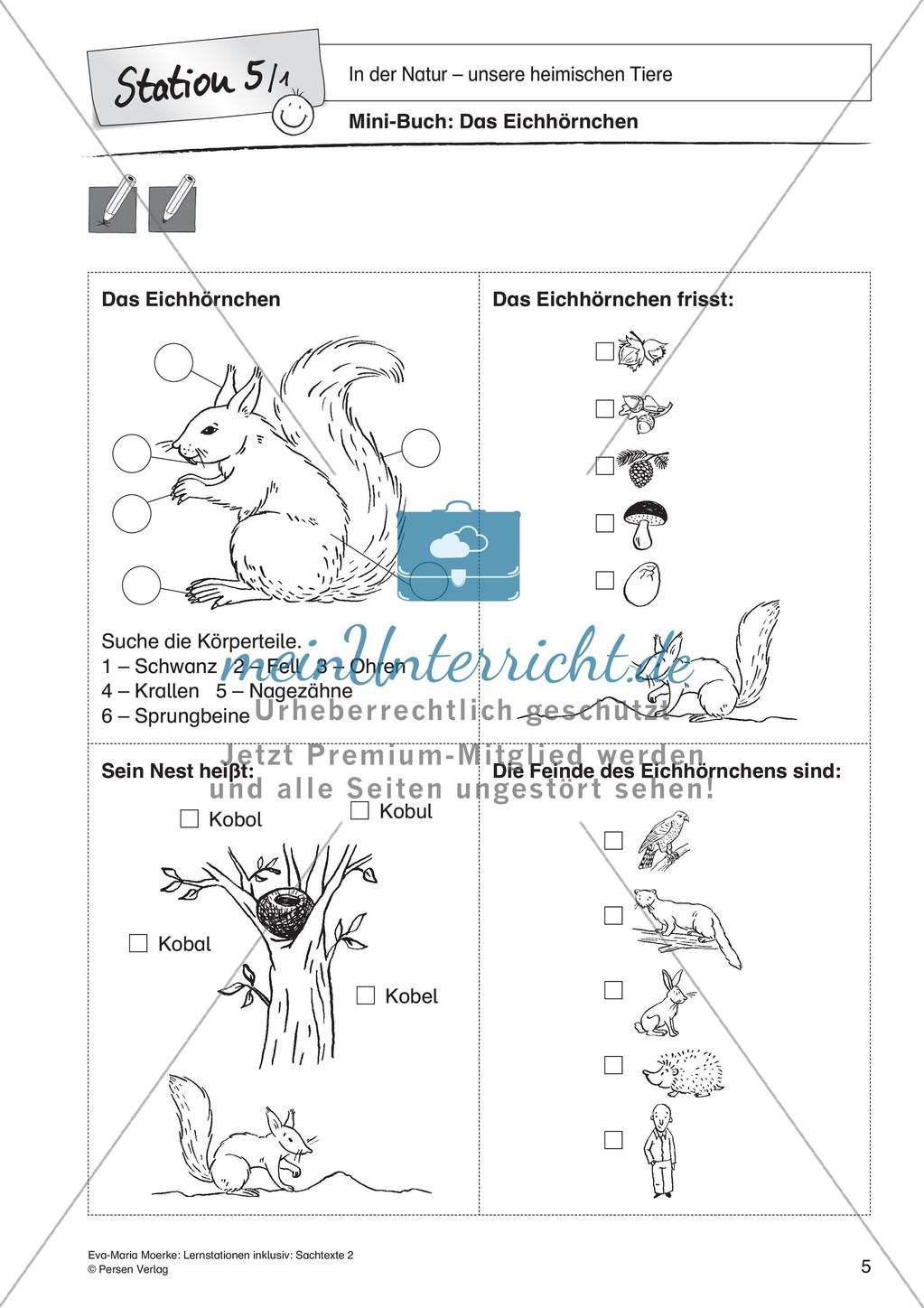 Sachtexte: In der Natur - unsere heimischen Tiere Preview 7