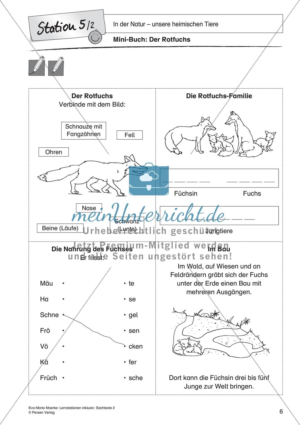 Sachtexte: In der Natur - unsere heimischen Tiere Preview 8