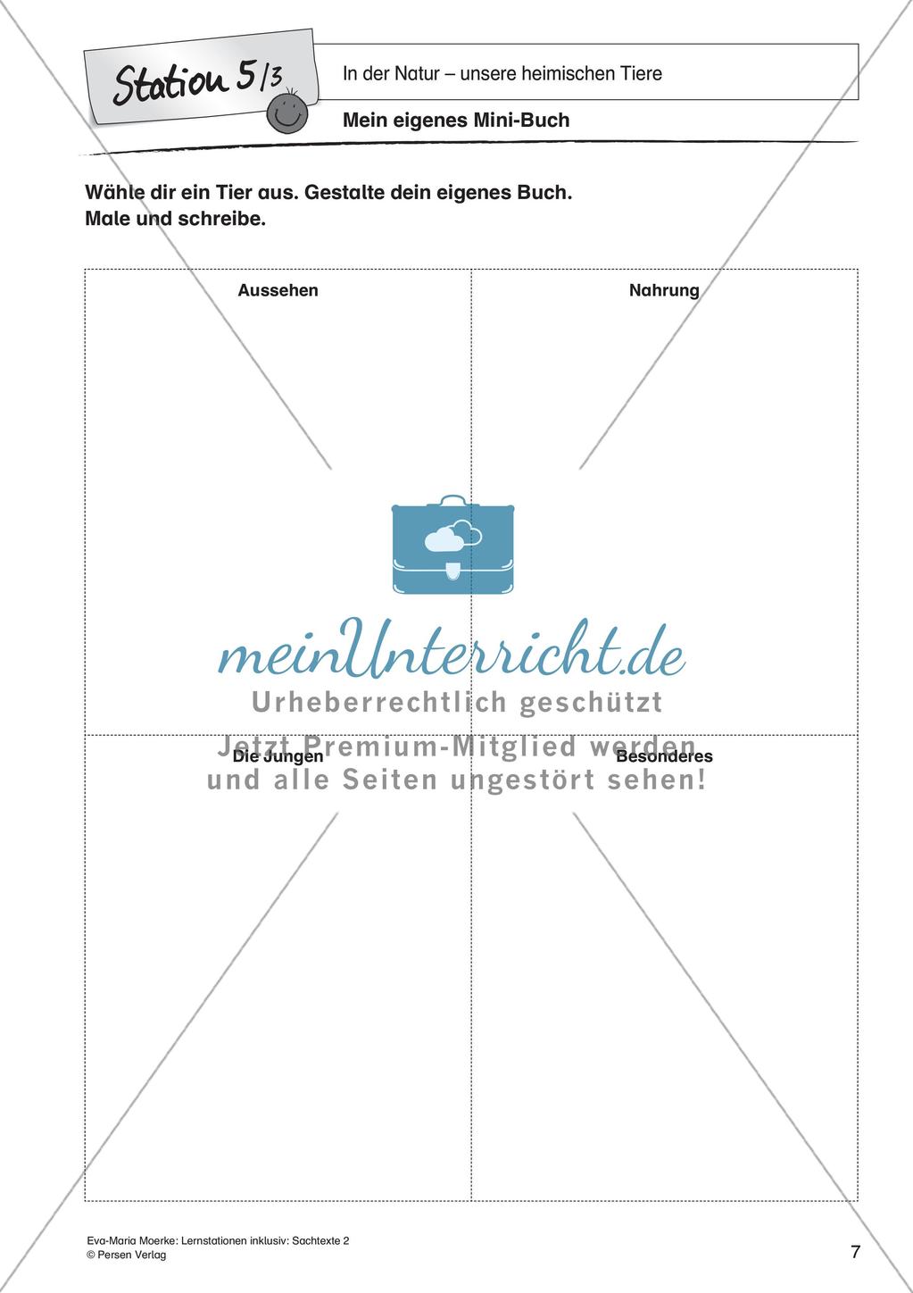 Sachtexte: In der Natur - unsere heimischen Tiere Preview 9