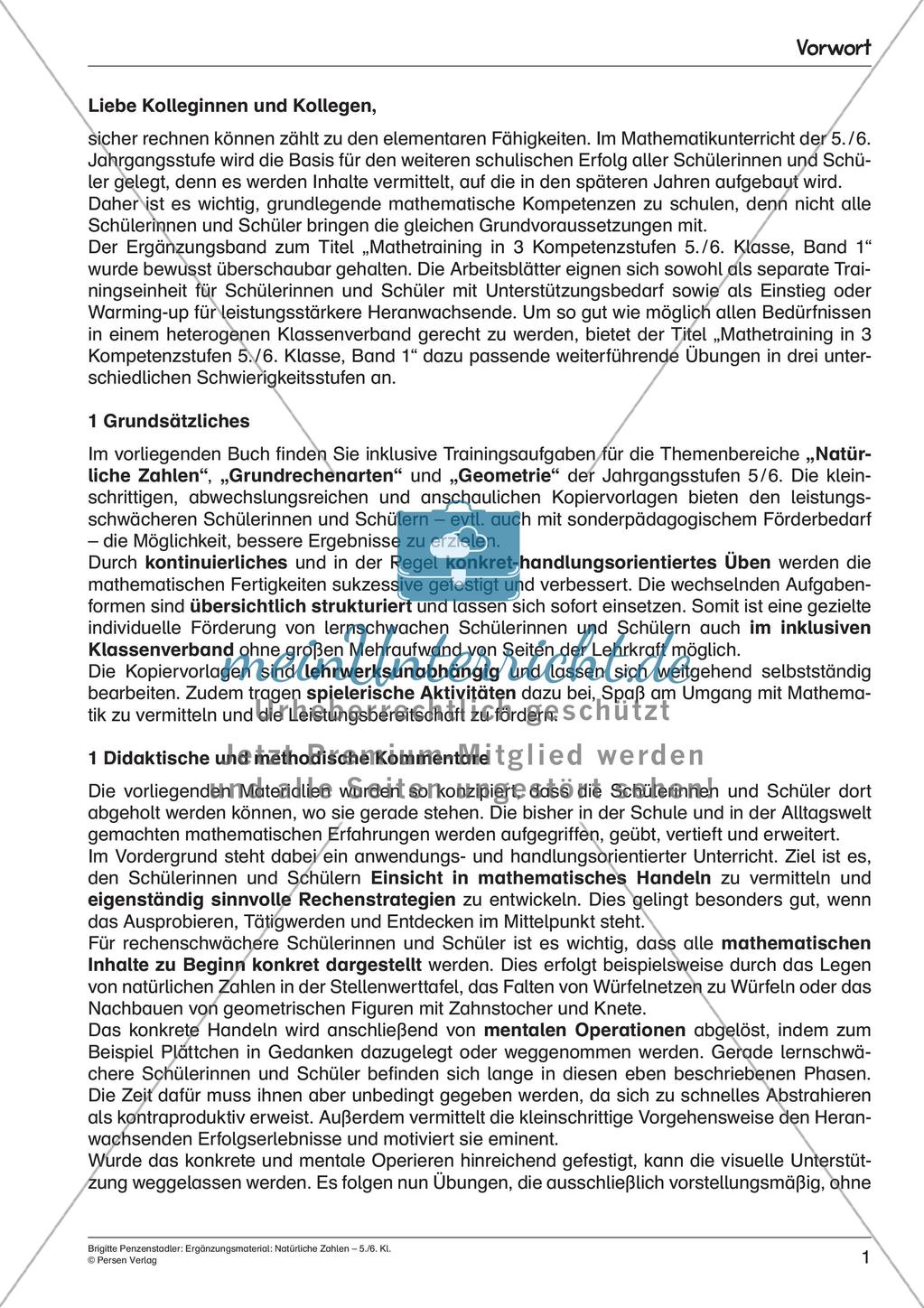 Ergänzungsmaterial: Natürliche Zahlen Preview 3