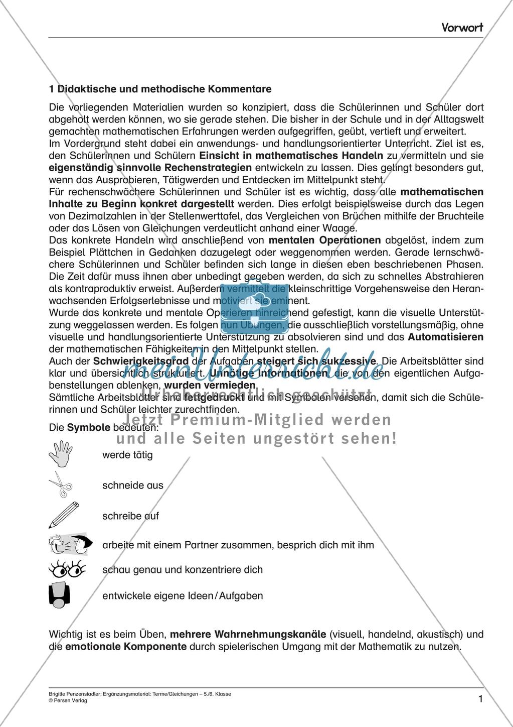 Ergänzungsmaterial: Terme und Gleichungen Preview 3
