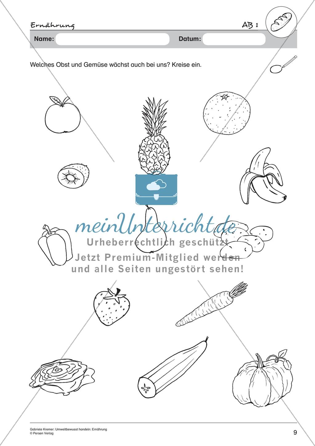 Umweltbewusstes Handeln: Ernährung Preview 11