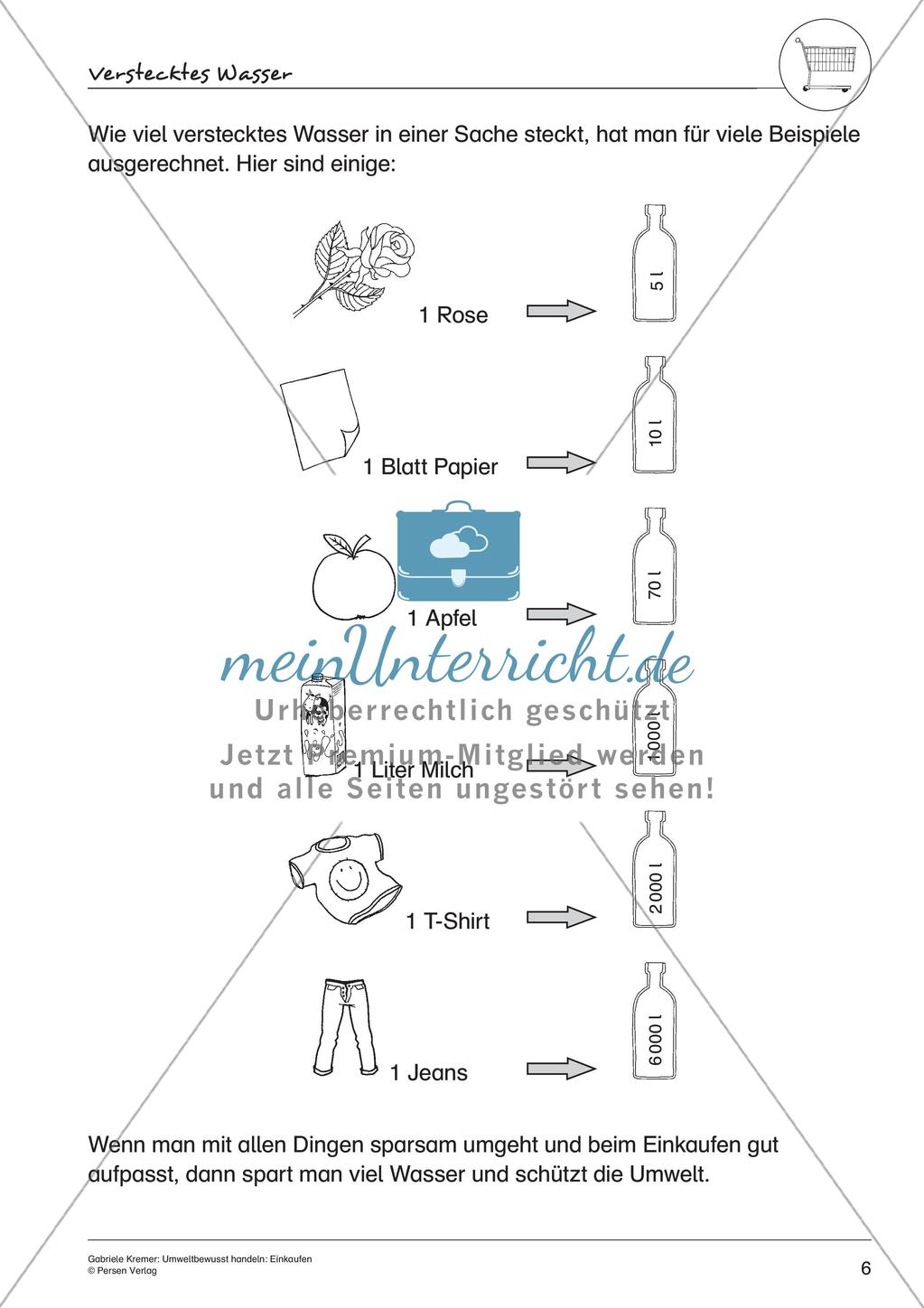 Umweltbewusstes Handeln: Einkaufen Preview 8