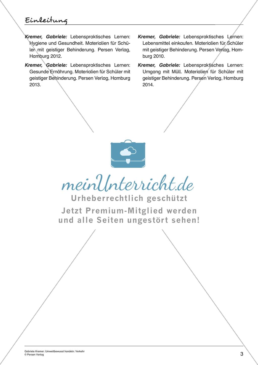 Umweltbewusstes Handeln: Straßenverkehr Preview 5