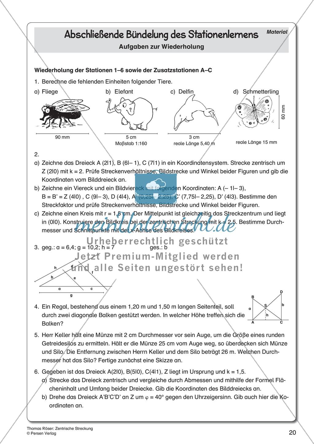 Zentrische Streckung Preview 22