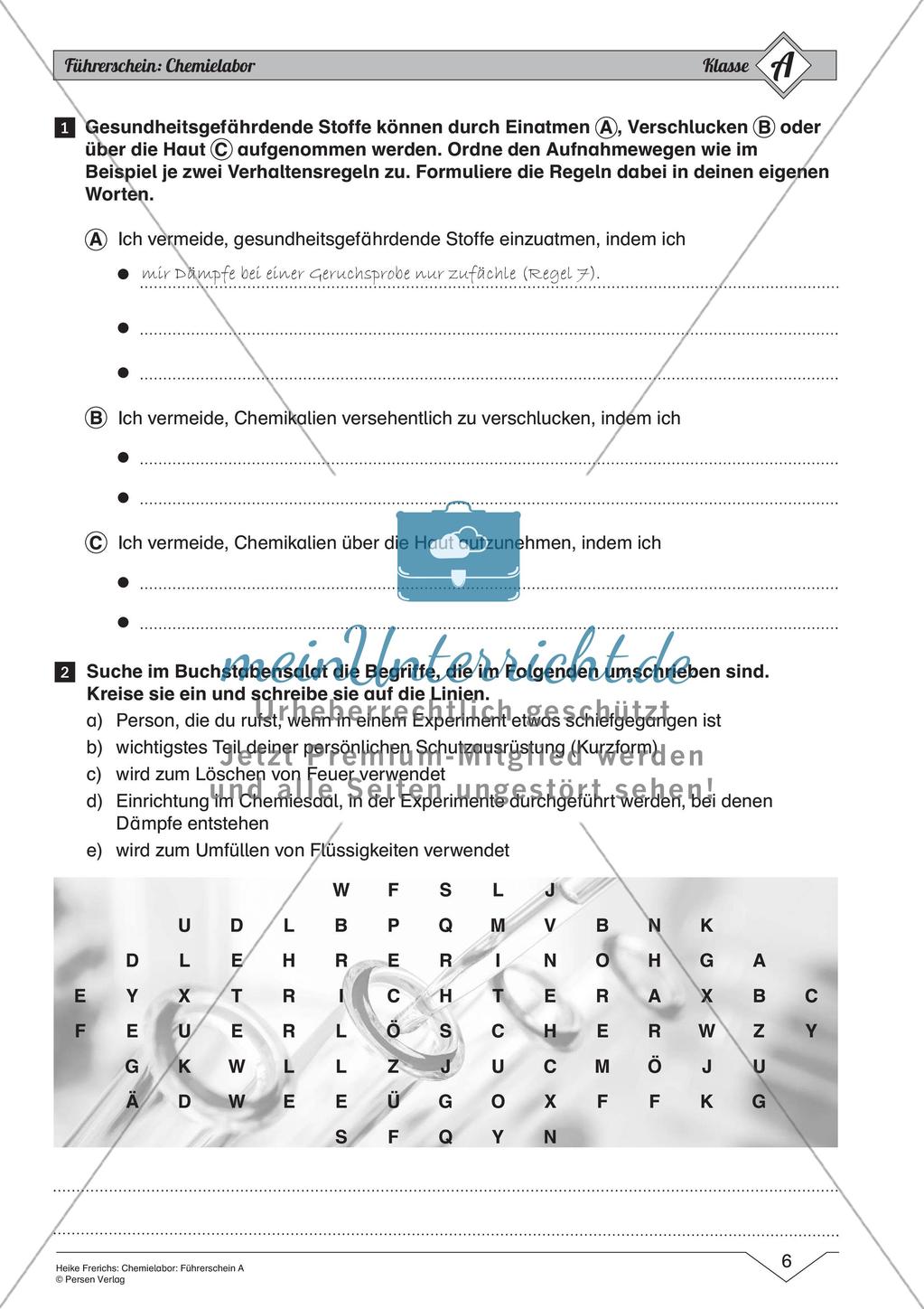 Chemielabor: Führerschein Grundwissen einfaches Niveau Preview 8