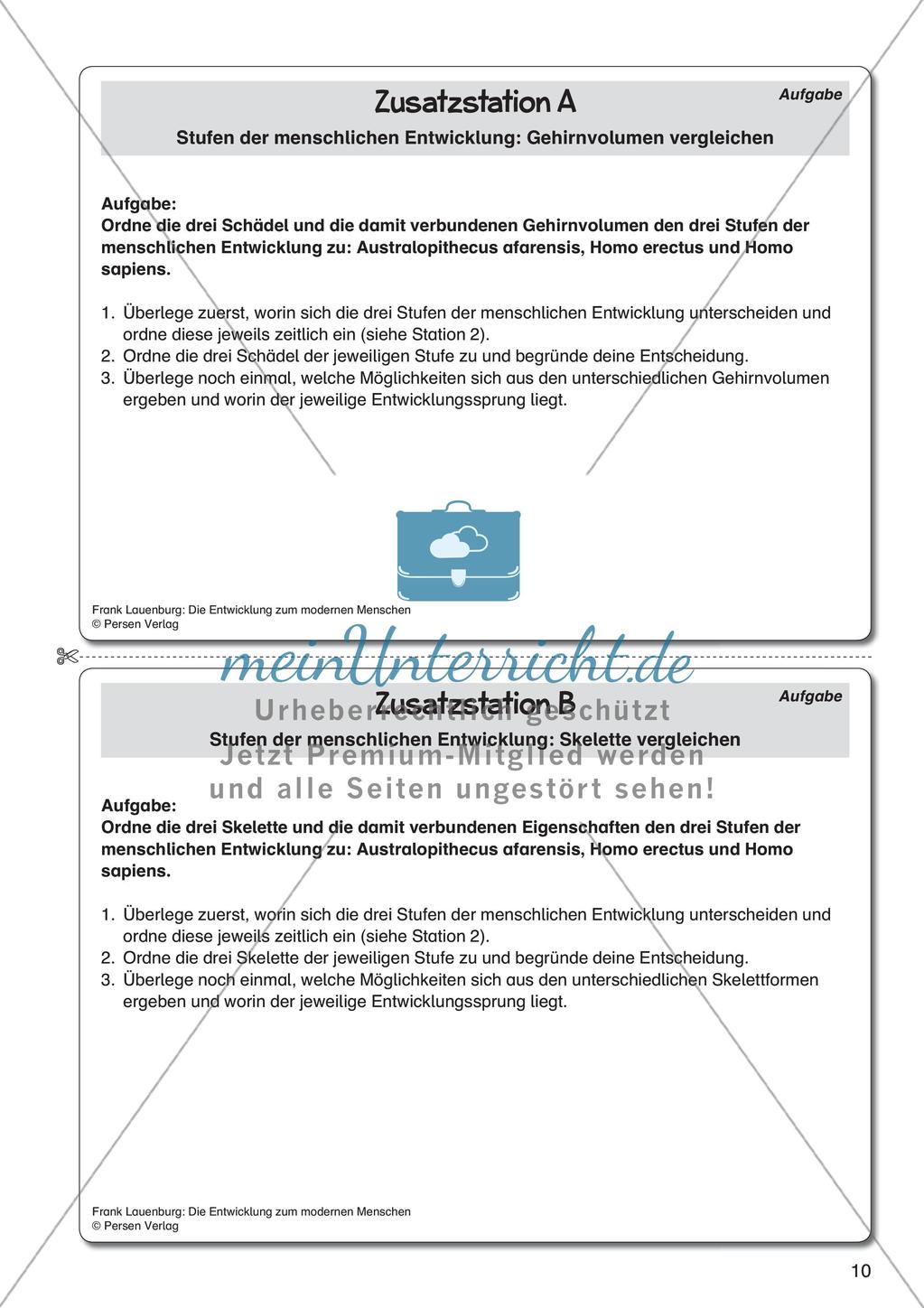 Die Entwicklung zum modernen Menschen Preview 12