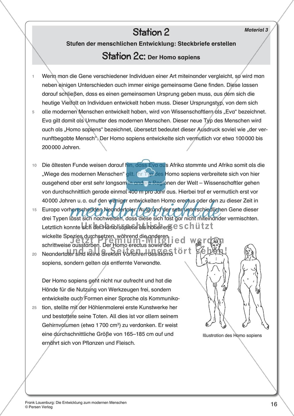 Die Entwicklung zum modernen Menschen Preview 18