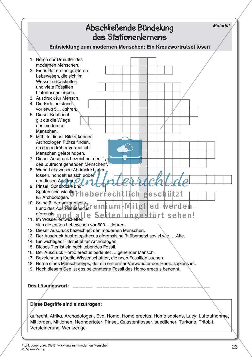 Die Entwicklung zum modernen Menschen Preview 25