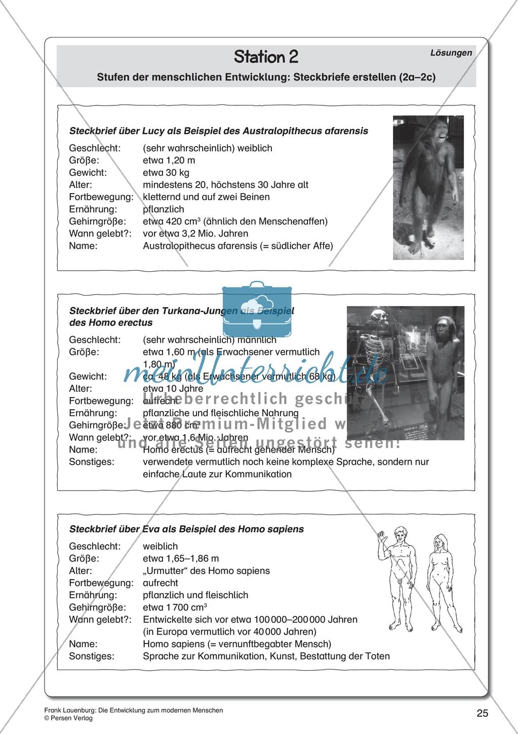 Die Entwicklung zum modernen Menschen Preview 27