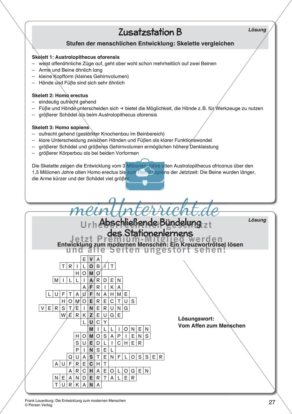 Die Entwicklung zum modernen Menschen Preview 29