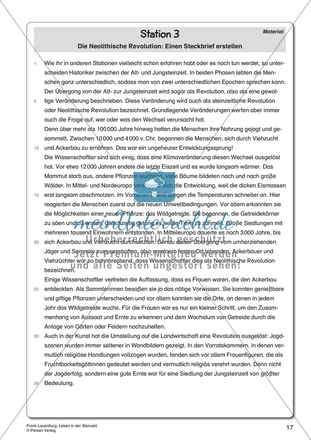 Leben in der Steinzeit Preview 19