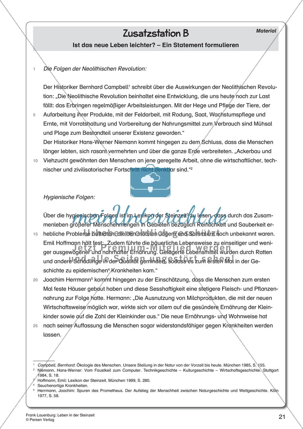 Leben in der Steinzeit Preview 23