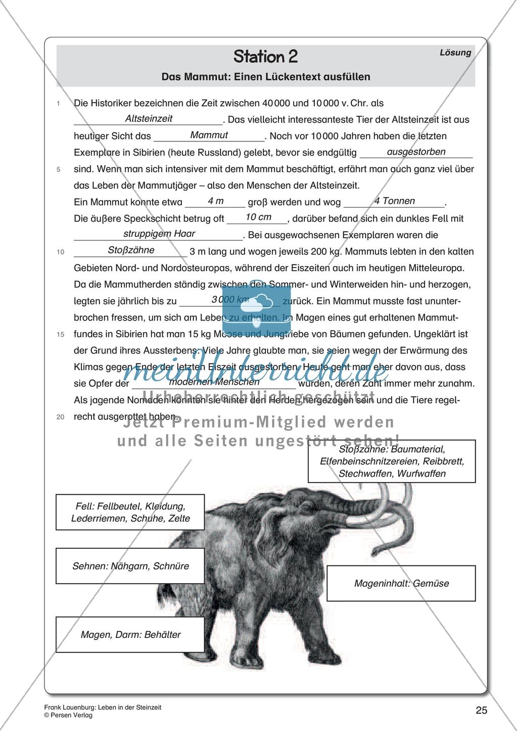 Leben in der Steinzeit Preview 27