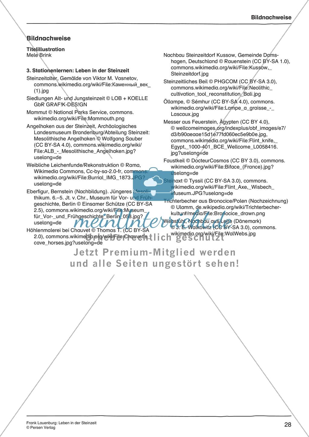Leben in der Steinzeit Preview 29