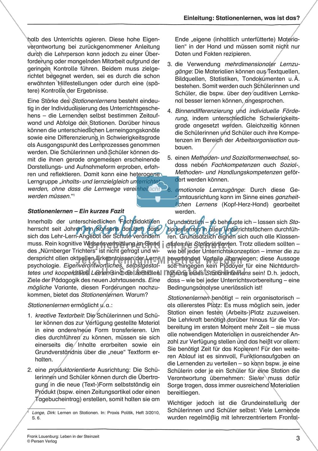 Leben in der Steinzeit Preview 5