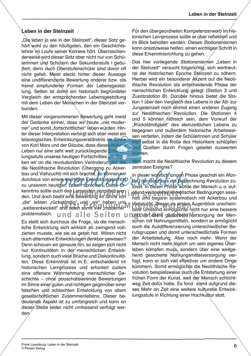 Leben in der Steinzeit Preview 8