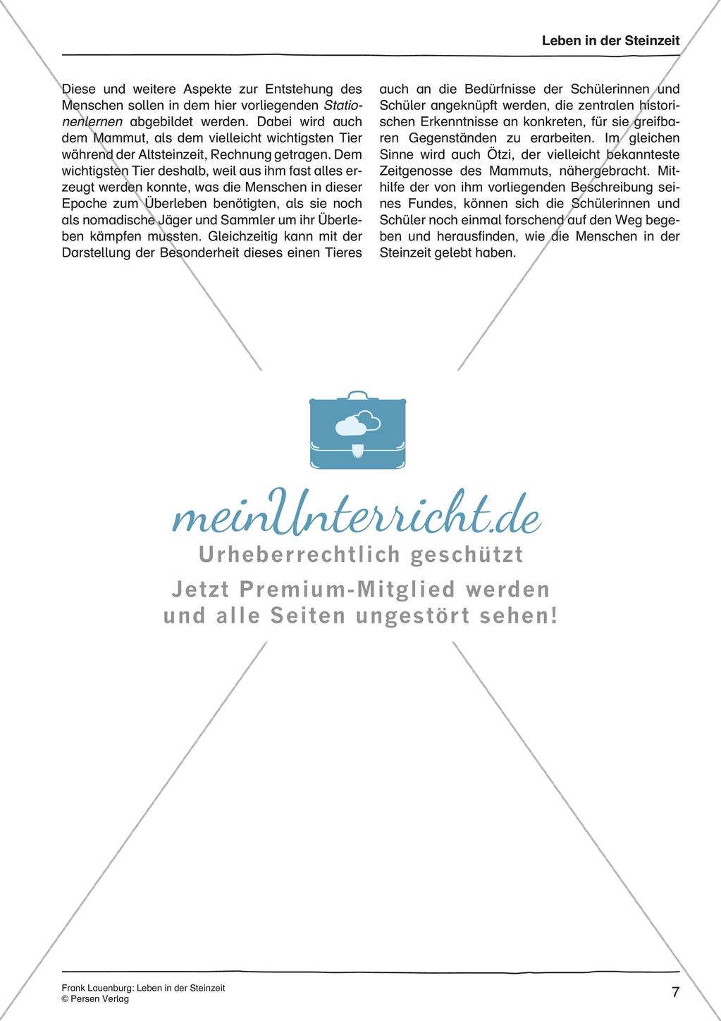 Leben in der Steinzeit Preview 9
