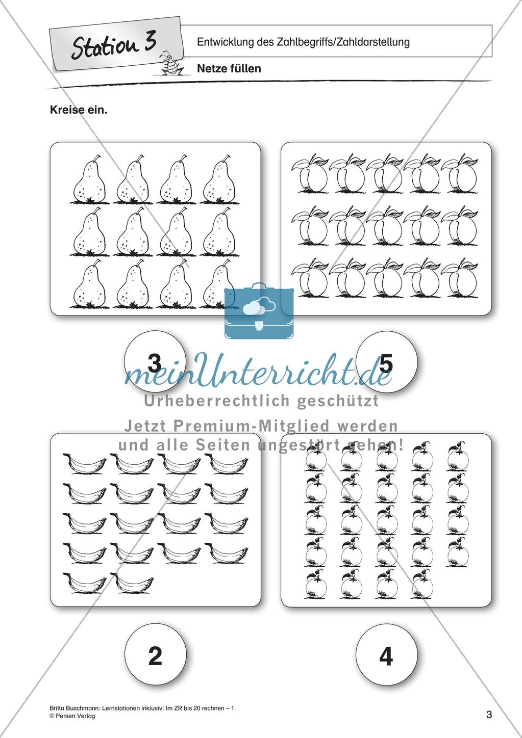 Entwicklung des Zahlbegriffs und Zahldarstellung Preview 5