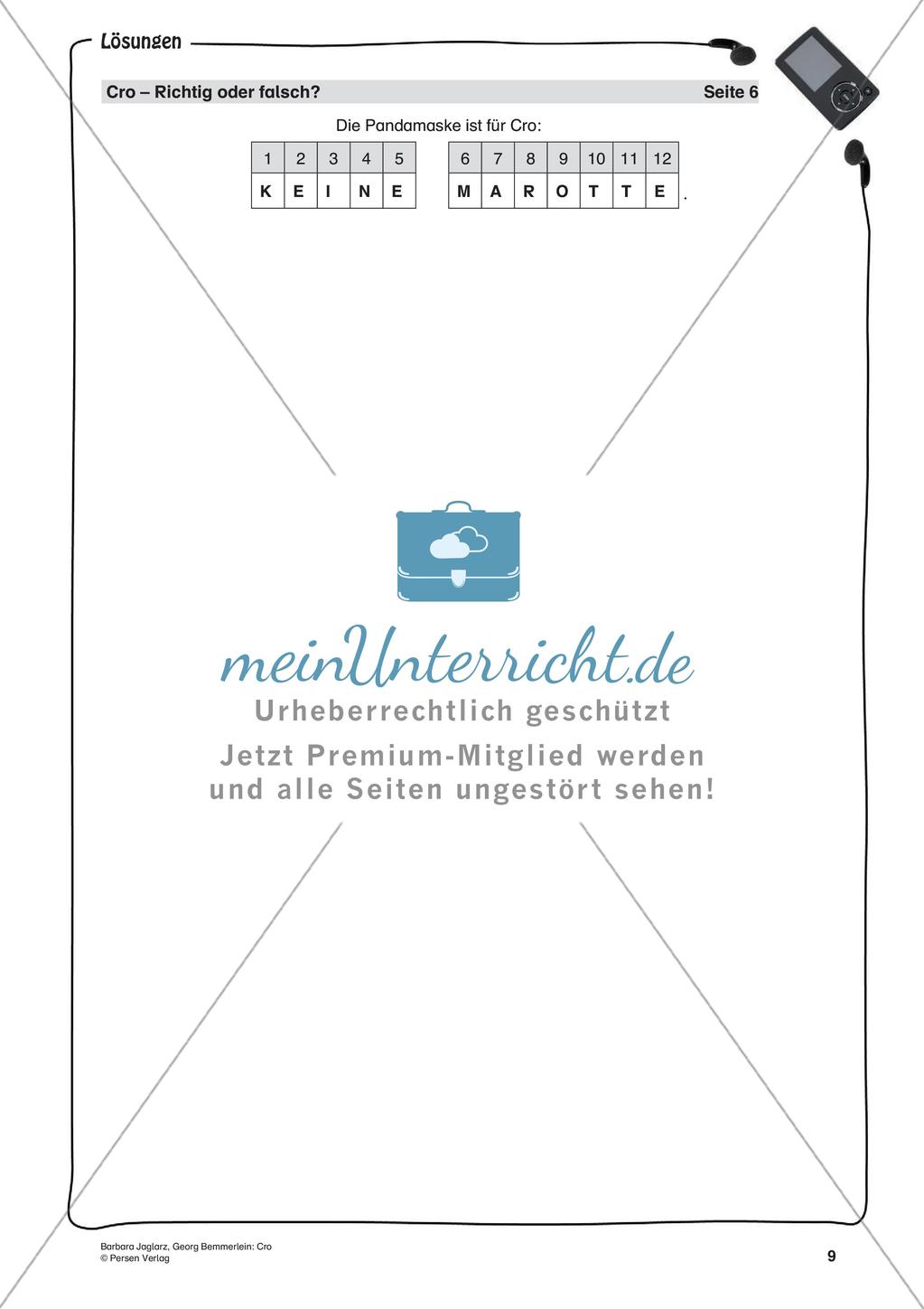 Musikalische Popstars: Cro Preview 11