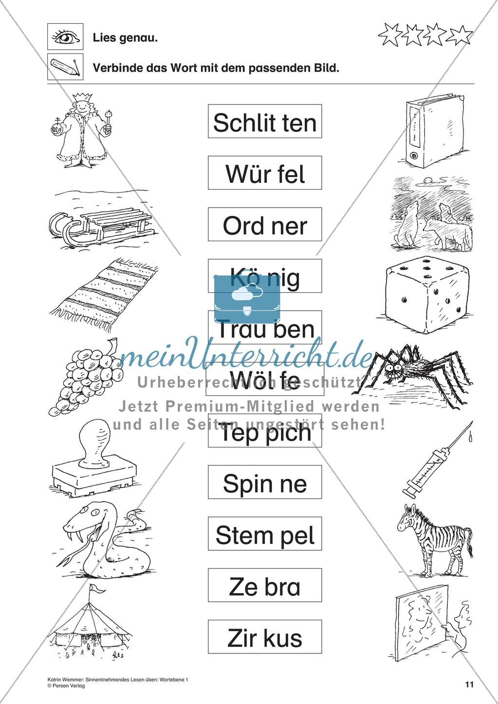 Sinnentnehmendes Lesen: Wortebene - Teil 1 Preview 13