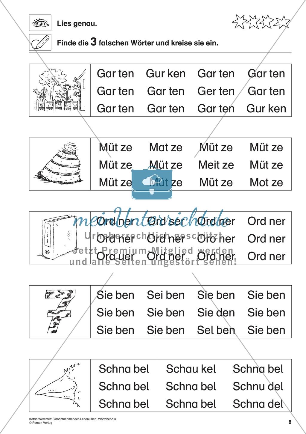 Sinnentnehmendes Lesen: Wortebene - Teil 3 Preview 10