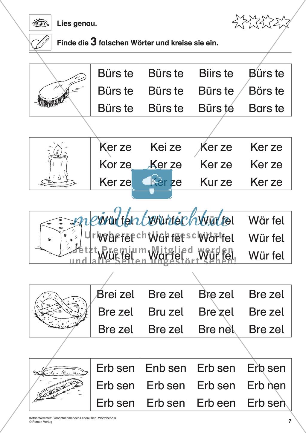 Sinnentnehmendes Lesen: Wortebene - Teil 3 Preview 9