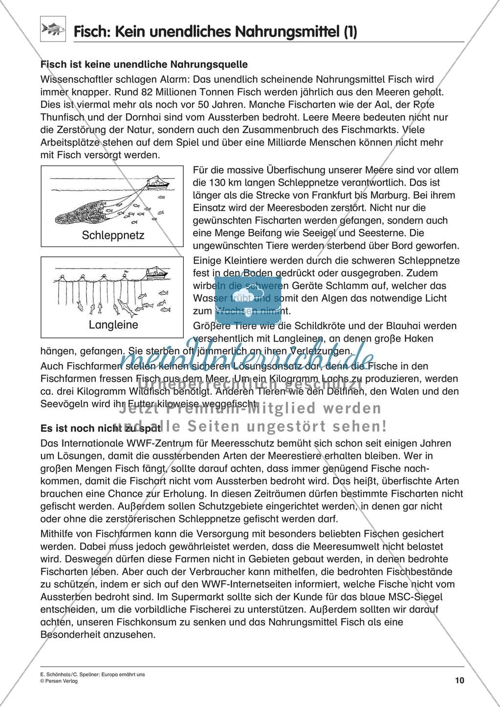 Inklusionsmaterial: Europa ernährt uns Preview 12