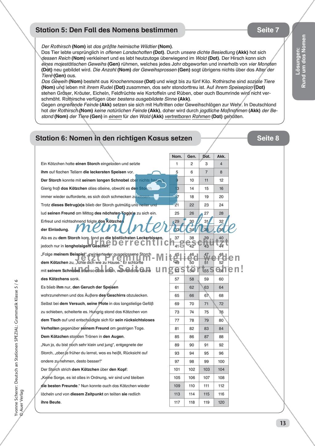 Stationenarbeit Grammatik: Nomen Preview 15