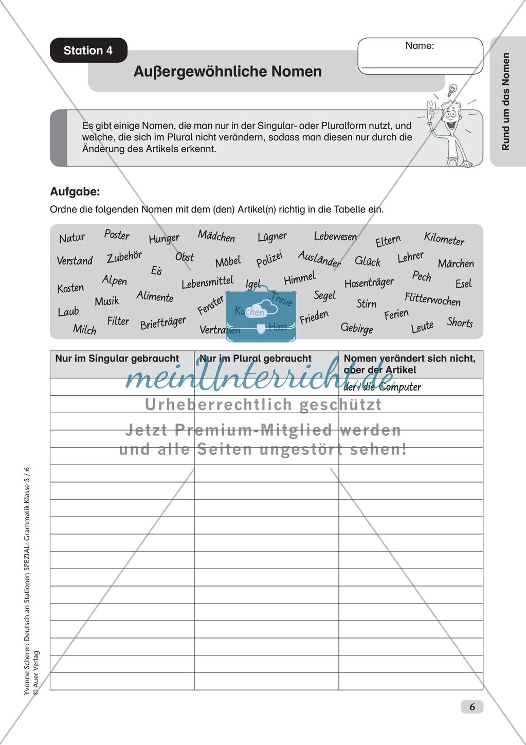 Stationenarbeit Grammatik: Nomen Preview 8