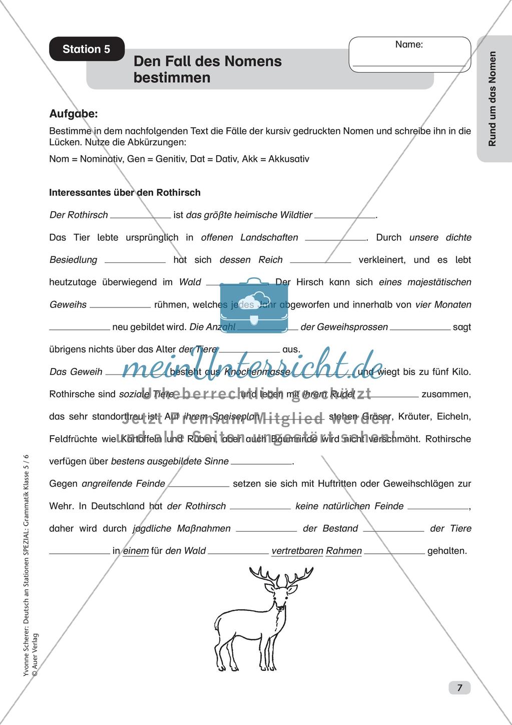 Stationenarbeit Grammatik: Nomen Preview 9