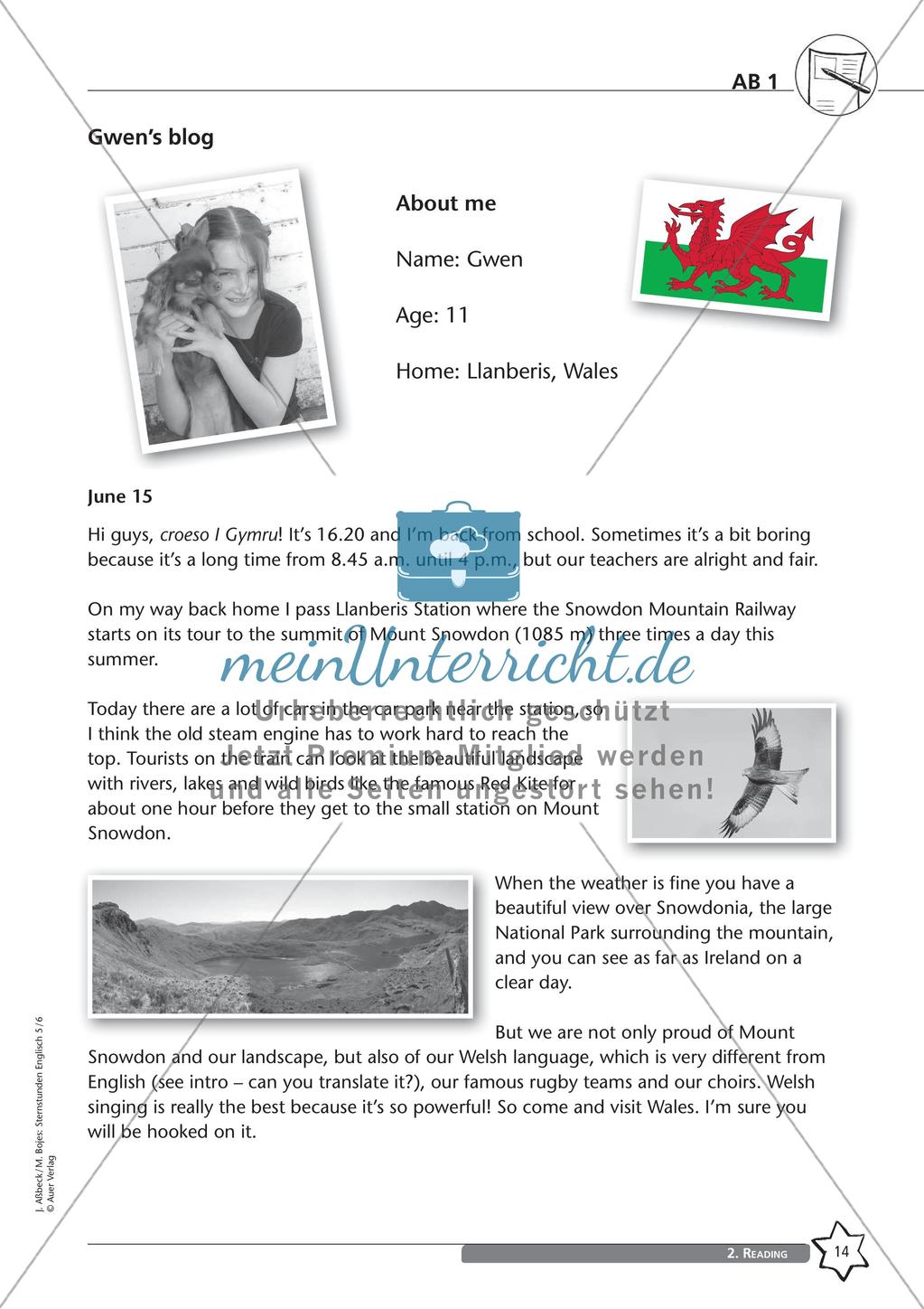 Reading Comprehension im Anfangsunterricht Preview 16