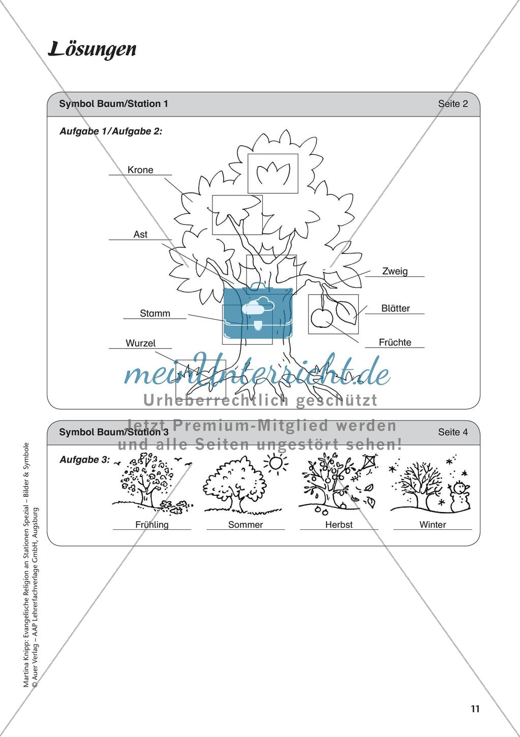 Ev. Religion: Symbol Baum Preview 13