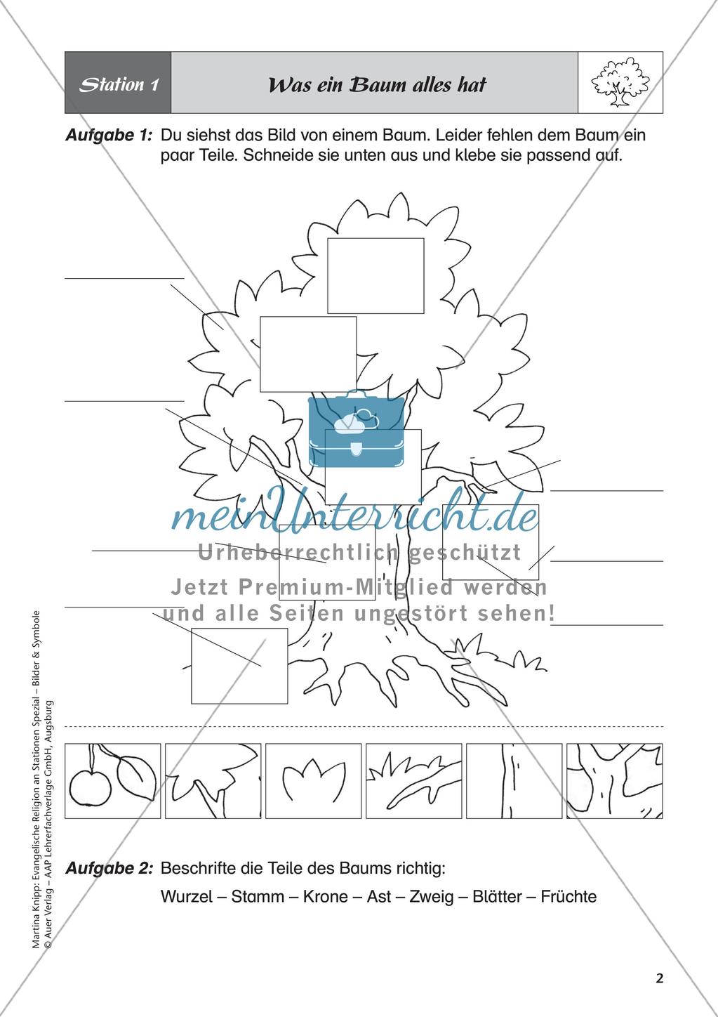 Ev. Religion: Symbol Baum Preview 4