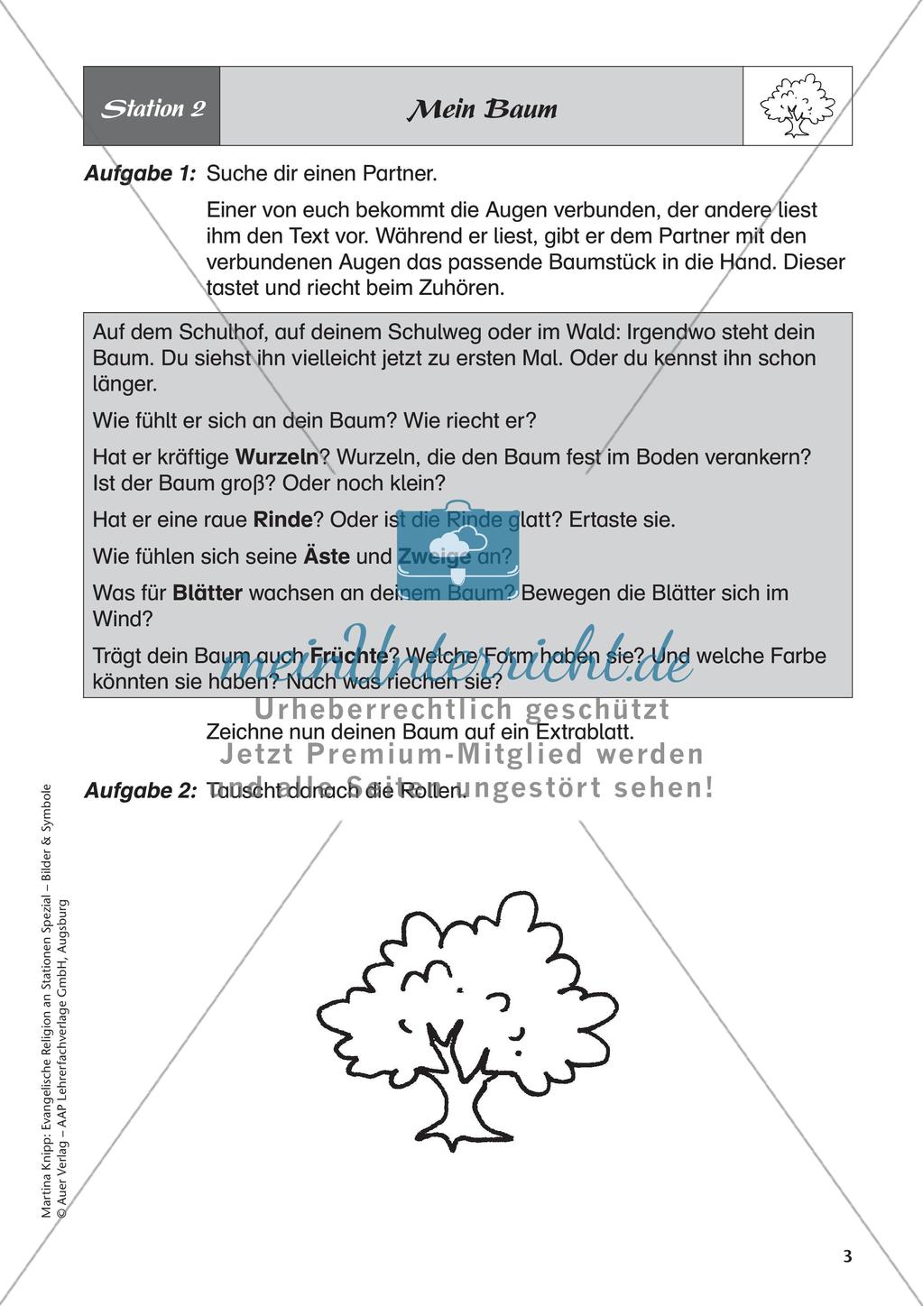 Ev. Religion: Symbol Baum Preview 5