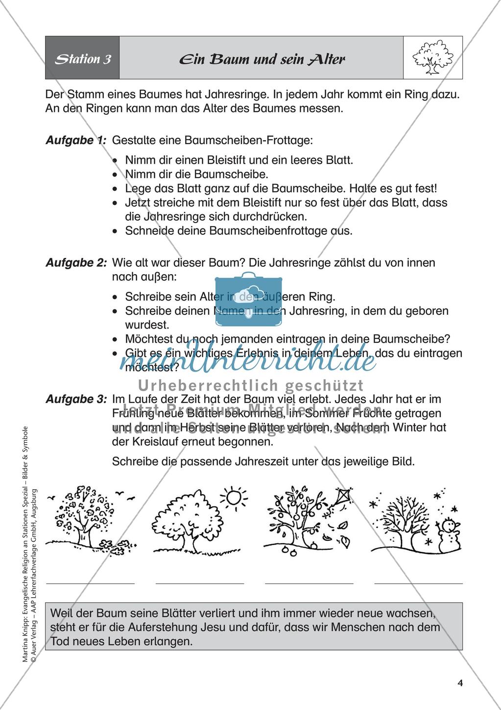 Ev. Religion: Symbol Baum Preview 6