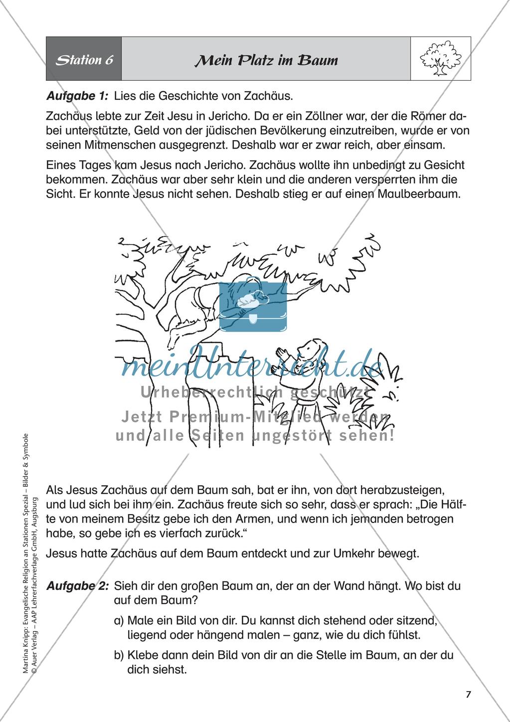 Ev. Religion: Symbol Baum Preview 9