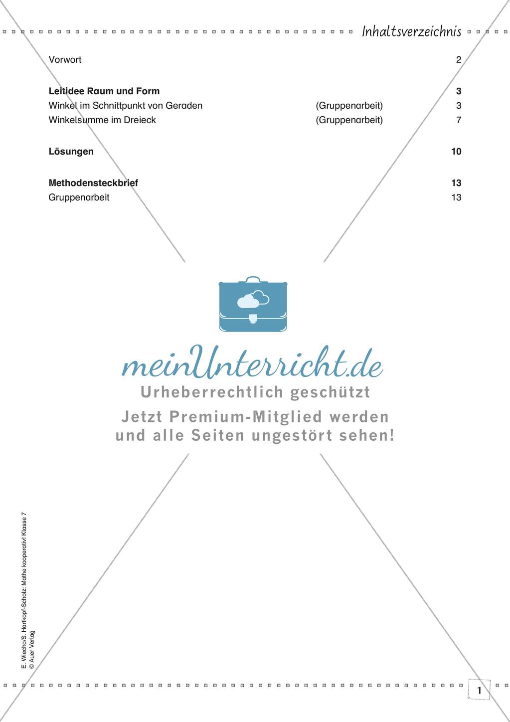 Kooperative Methoden - Winkel und Winkelsummen Preview 3